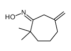 N-(2,2-dimethyl-6-methylidenecycloheptylidene)hydroxylamine Structure