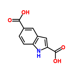 1H-吲哚-2,5-二羧酸图片