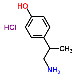 4-(1-Aminopropan-2-yl)phenol hydrochloride picture