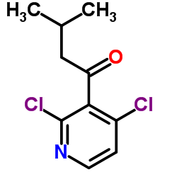 1-(2,4-Dichloro-3-pyridinyl)-3-methyl-1-butanone结构式