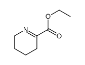 2-Pyridinecarboxylicacid,3,4,5,6-tetrahydro-,ethylester(9CI) structure