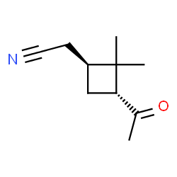 Cyclobutaneacetonitrile, 3-acetyl-2,2-dimethyl-, (1R,3S)-rel- (9CI) Structure