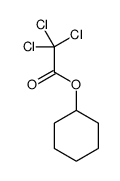 cyclohexyl 2,2,2-trichloroacetate Structure