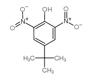 4-叔丁基-2,6-二硝基苯酚图片