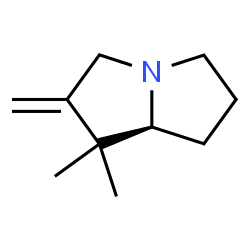 1H-Pyrrolizine,hexahydro-1,1-dimethyl-2-methylene-,(7aS)-(9CI) structure