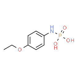 Phosphoramidic acid, (4-ethoxyphenyl)- (9CI) Structure