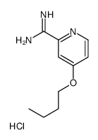 4-丁氧基吡啶甲酰胺盐酸盐结构式