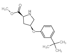 Methyl (2S,4S)-4-[3-(tert-butyl)phenoxy]-2-pyrrolidinecarboxylate结构式
