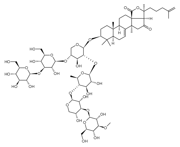 holotoxin E Structure