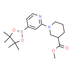 methyl 1-(4-(4,4,5,5-tetramethyl-1,3,2-dioxaborolan-2-yl)pyridin-2-yl)piperidine-3-carboxylate结构式