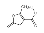 3-Furancarboxylicacid,4,5-dihydro-2-methyl-5-methylene-,methylester(9CI) picture