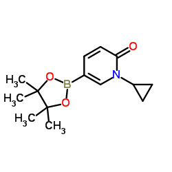 1-Cyclopropyl-6-oxo-1,6-dihydropyridine-3-boronic acid pinacol ester picture