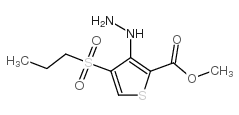 METHYL 3-HYDRAZINO-4-(PROPYLSULFONYL)THIOPHENE-2-CARBOXYLATE picture