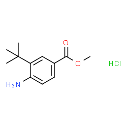 Methyl 4-amino-3-(tert-butyl)benzoate hydrochloride picture