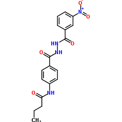 N-(4-{[2-(3-Nitrobenzoyl)hydrazino]carbonyl}phenyl)butanamide Structure