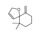 6,6-Dimethyl-10-methylene-1-oxaspiro[4.5]dec-3-ene picture
