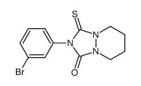 2-(3-bromophenyl)-3-sulfanylidene-5,6,7,8-tetrahydro-[1,2,4]triazolo[1,2-a]pyridazin-1-one Structure