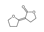 α-(2-Tetrahydrofuranylidene)-γ-butyrolactone Structure