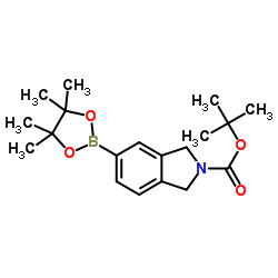 tert-Butyl 5-(4,4,5,5-tetramethyl-1,3,2-dioxaborolan-2-yl)isoindoline-2-carboxylate picture