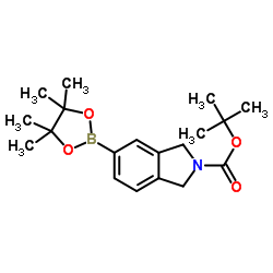 tert-Butyl 5-(4,4,5,5-tetramethyl-1,3,2-dioxaborolan-2-yl)isoindoline-2-carboxylate Structure