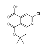 5-(TERT-BUTOXYCARBONYL)-2-CHLOROISONICOTINICACID picture