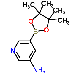 3-Aminopyridine-5-boronic acid, pinacol ester picture