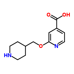 2-(4-Piperidinylmethoxy)isonicotinic acid结构式