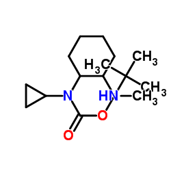 2-Methyl-2-propanyl cyclopropyl[2-(methylamino)cyclohexyl]carbamate结构式