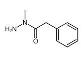 1-methyl-1-phenylacetylhydrazine Structure