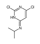 2,6-DICHLORO-N-ISOPROPYL-4-PYRIMIDINAMINE picture