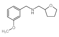 (3-Methoxy-benzyl)-(tetrahydro-furan-2-ylmethyl)-amine结构式