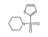 1-thiophen-2-ylsulfonylpiperidine Structure