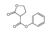 phenyl 2-oxooxolane-3-carboxylate结构式