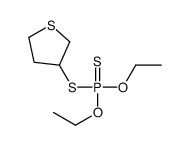 diethoxy-sulfanylidene-(thiolan-3-ylsulfanyl)-λ5-phosphane结构式