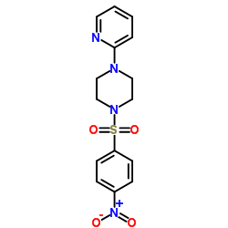 1-(4-Nitro-benzenesulfonyl)-4-pyridin-2-yl-piperazine结构式