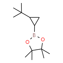 反式叔丁基环丙烷硼酸频哪醇酯结构式