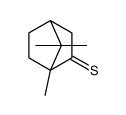 thiocamphor structure