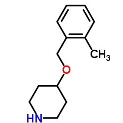 4-[(2-Methylbenzyl)oxy]piperidine结构式