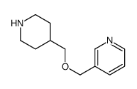 3-((哌啶-4-基甲氧基)甲基)吡啶结构式