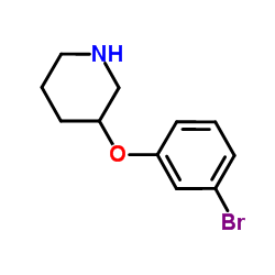 3-(3-Bromophenoxy)piperidine Structure