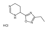 3-ethyl-5-(1,4,5,6-tetrahydropyrimidin-6-yl)-1,2,4-oxadiazole,hydrochloride结构式