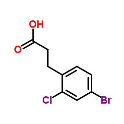 3-(4-溴-2-氯苯基)丙酸结构式