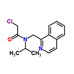 2-Chloro-N-isopropyl-N-(1-isoquinolinylmethyl)acetamide Structure