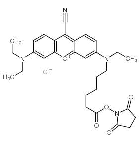 NIR-667 N-SUCCINIMIDYL ESTER structure