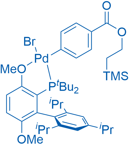 (SP-4-2)-Bromo[[3,6-dimethoxy-2′,4′,6′-tris(1-methylethyl)[1,1′-biphenyl]-2-yl-κC1′]bis(1,1-dimethylethyl)phosphine-κP][4-[[2-(trimethylsilyl)ethoxy]carbonyl]phenyl]-palladium picture