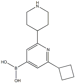 2-Cyclobutyl-6-(piperidin-4-yl)pyridine-4-boronic acid结构式