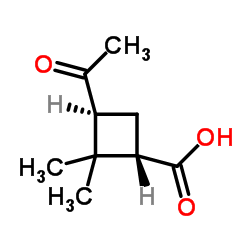 Cyclobutanecarboxylic acid, 3-acetyl-2,2-dimethyl-, (1S,3S)- (9CI) picture