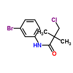 N-(3-Bromophenyl)-3-chloro-2,2-dimethylpropanamide结构式