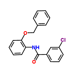N-[2-(Benzyloxy)phenyl]-3-chlorobenzamide Structure
