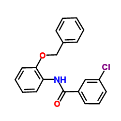 N-[2-(Benzyloxy)phenyl]-3-chlorobenzamide结构式